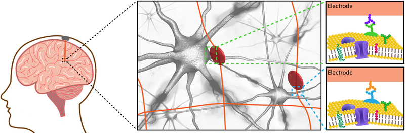 Figure 3.