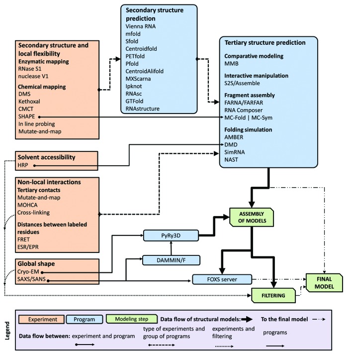 graphic file with name rna-11-522-g3.jpg