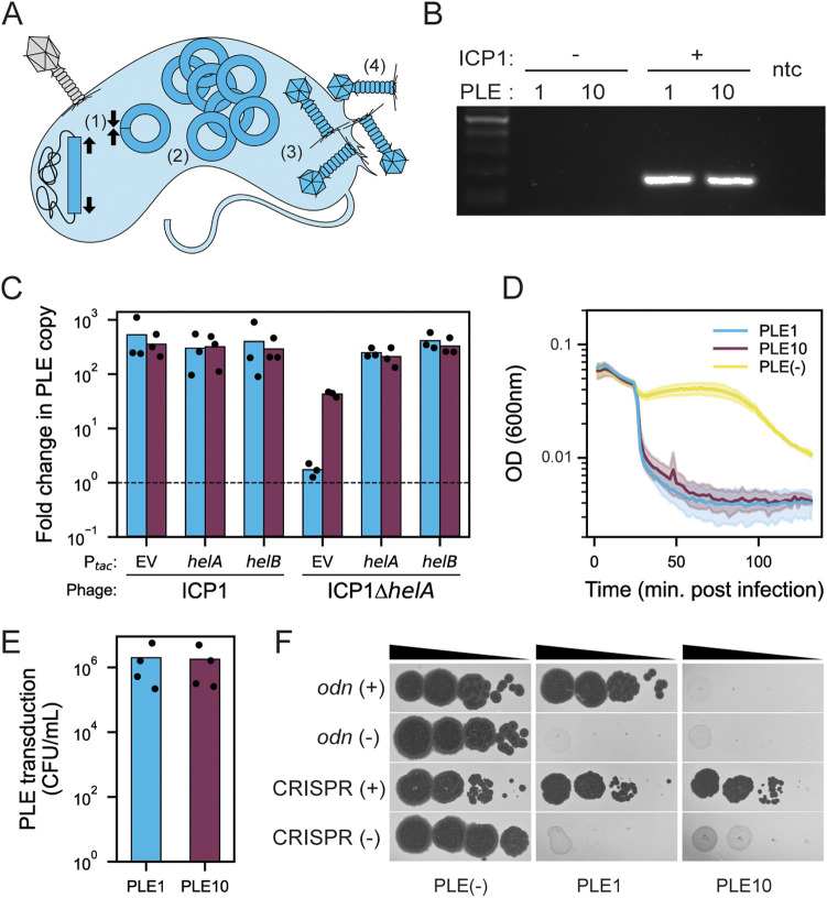 FIG 3