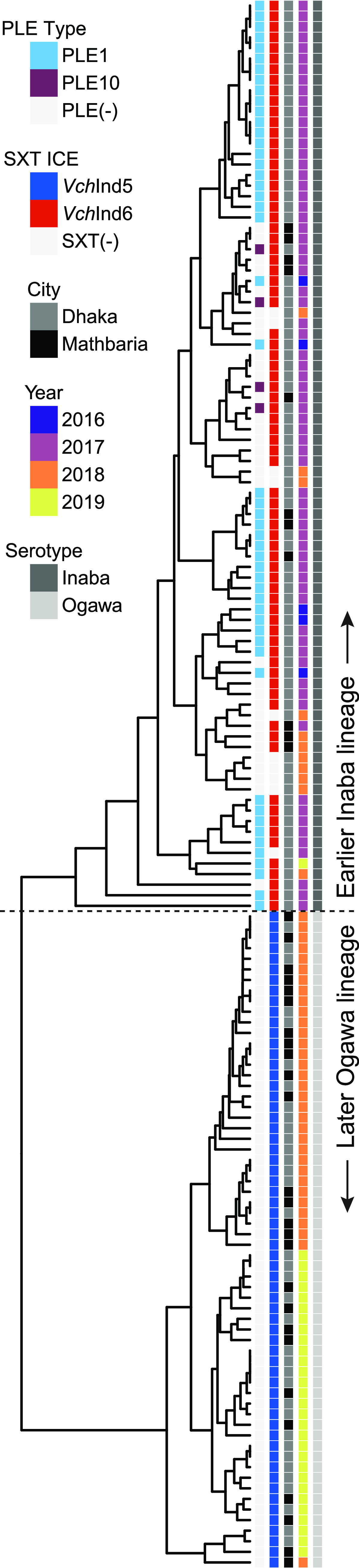 FIG 5