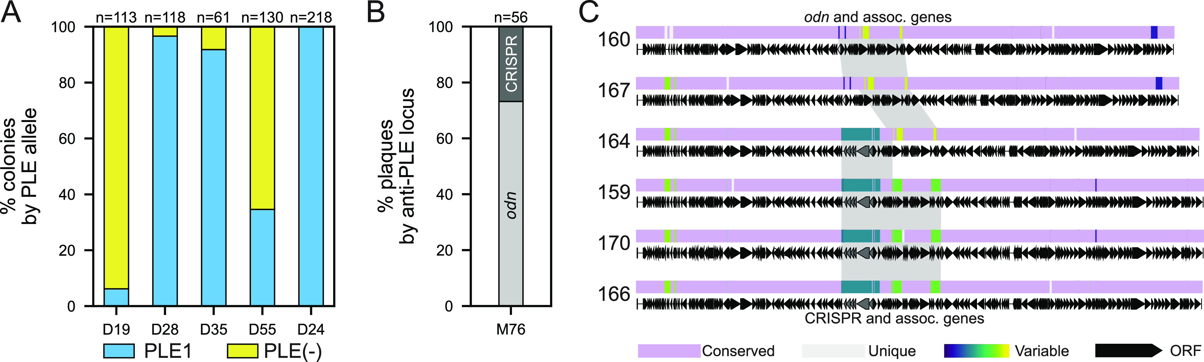 FIG 4