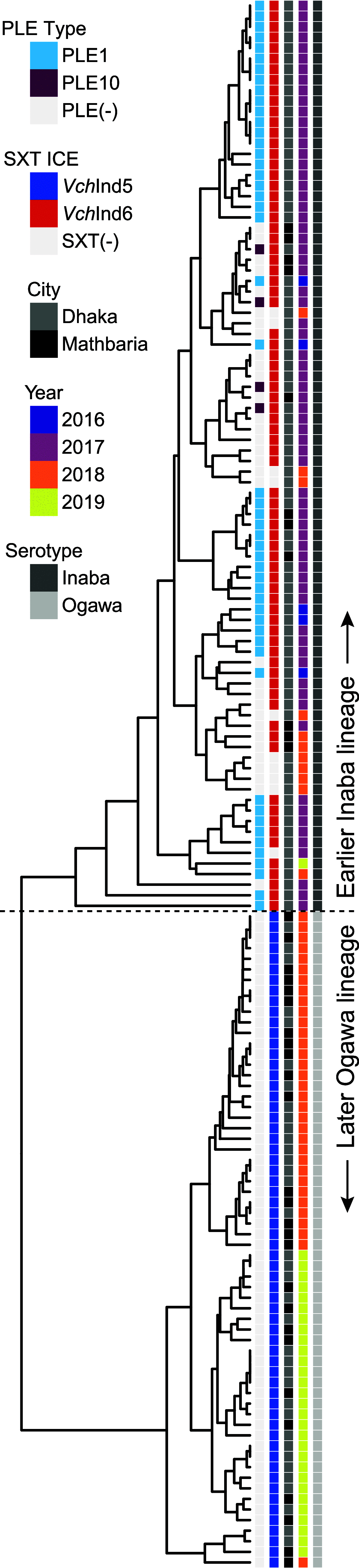 FIG 5