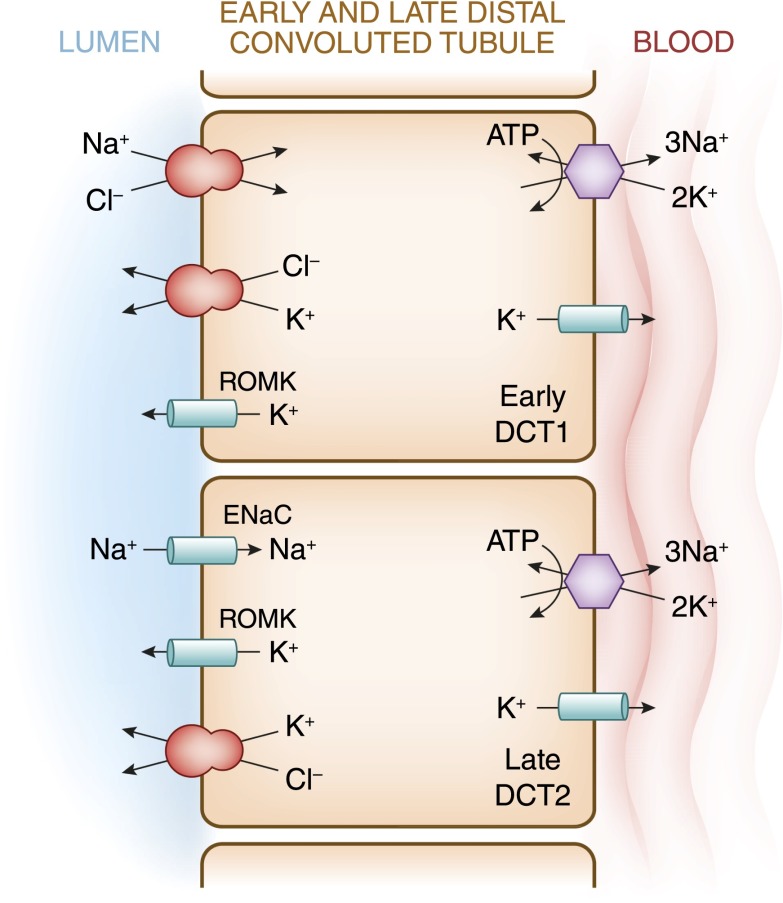 Figure 5.