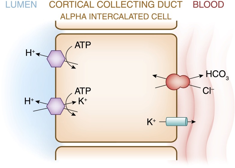 Figure 7.