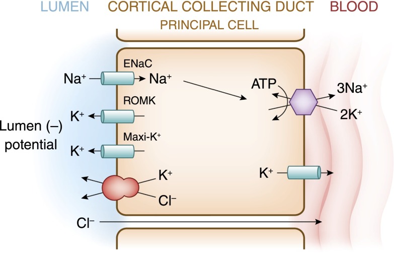 Figure 6.