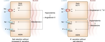 Figure 9.