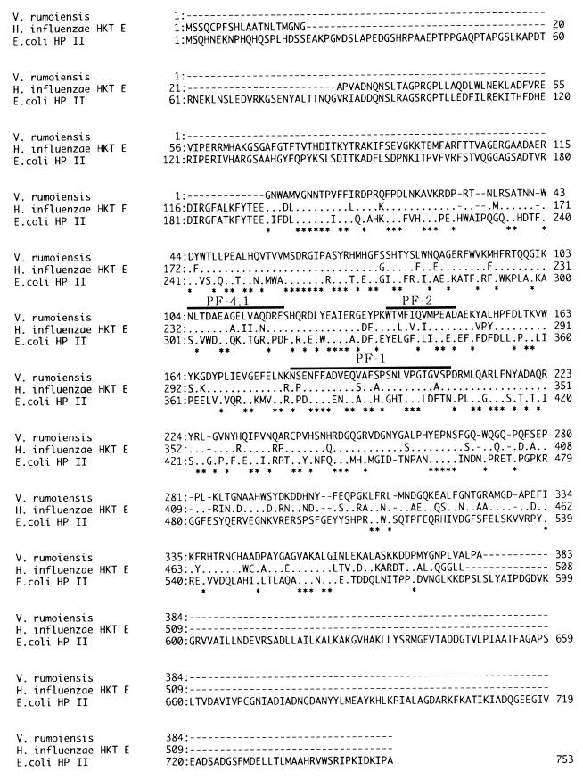 FIG. 5