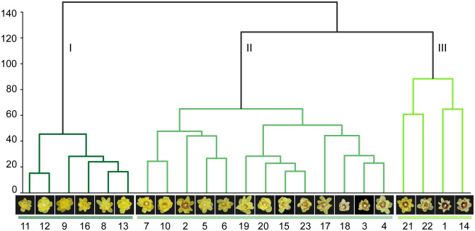 Figure 10