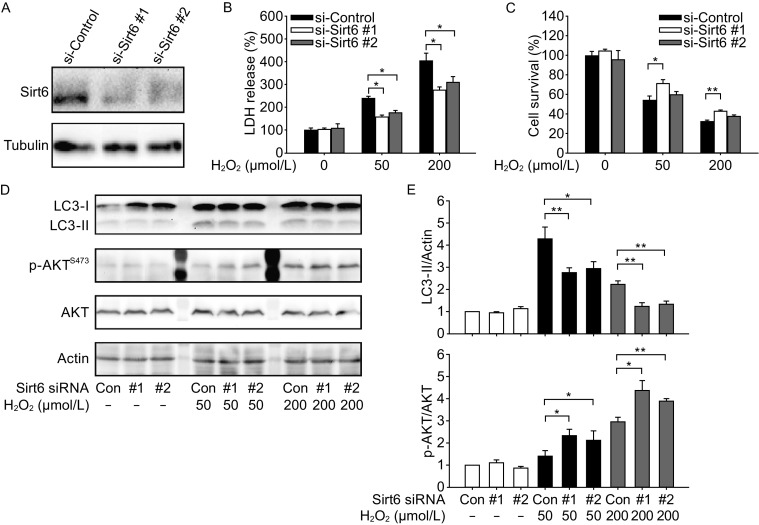 Figure 6