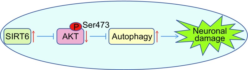 Figure 7