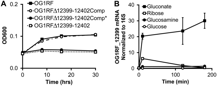 FIG 2