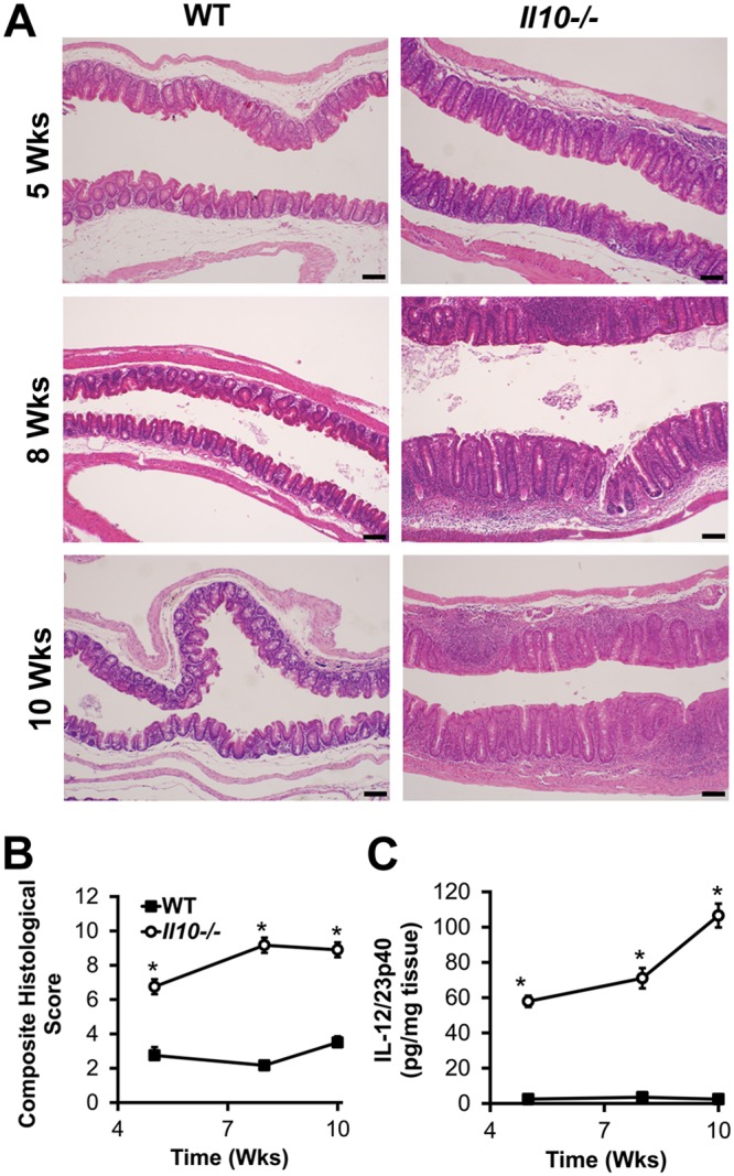 FIG 4