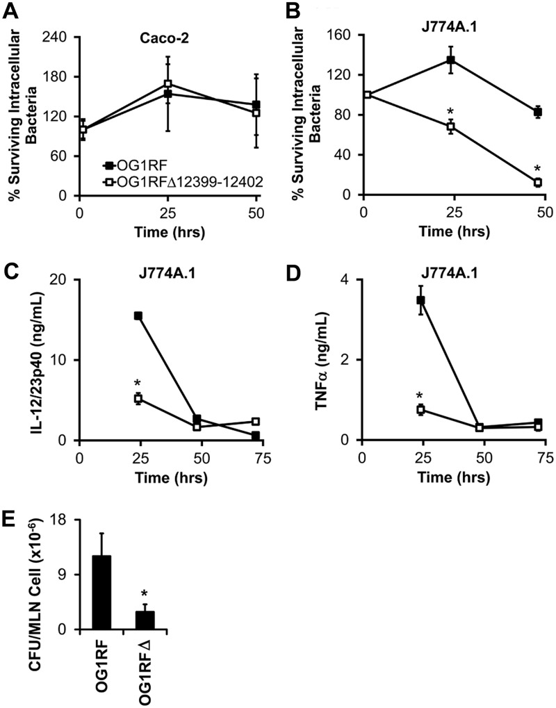 FIG 6