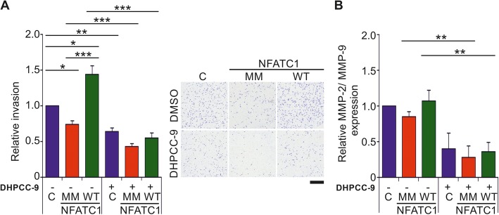 Fig. 6