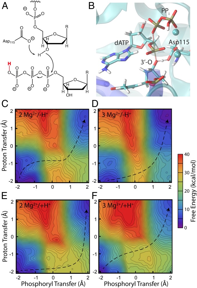 Fig. 4.