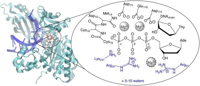 Fig. 2.