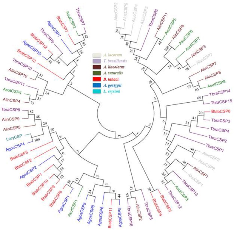 Fig 6