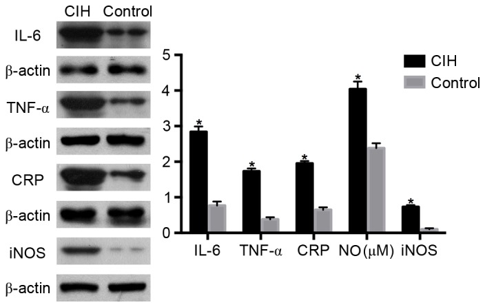 Figure 5.