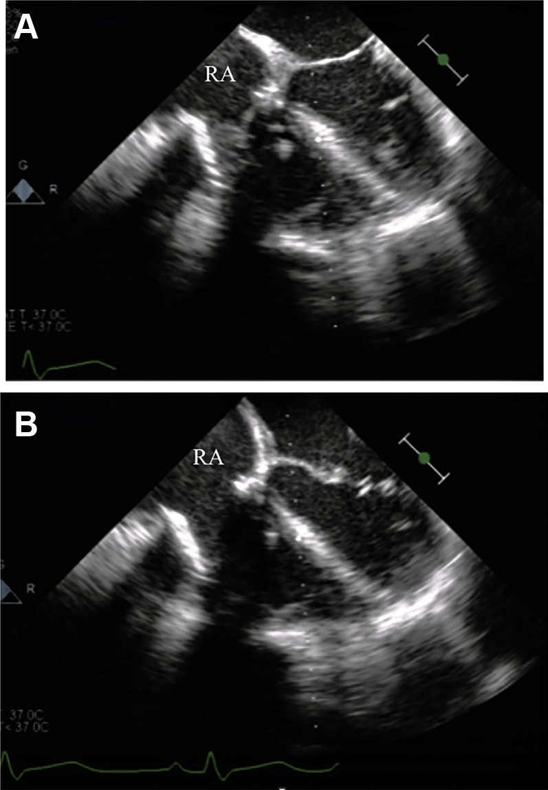 Figure 6