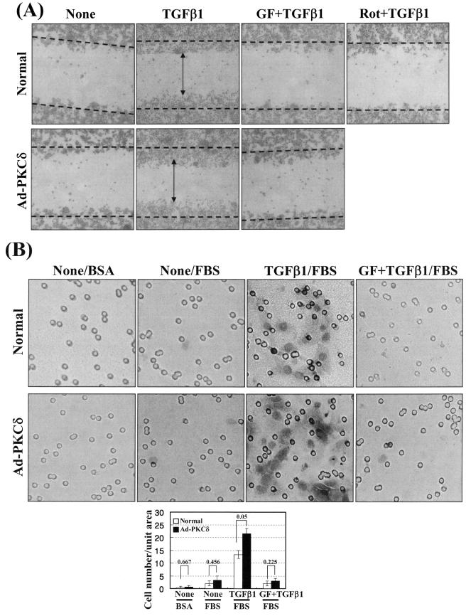 FIG.8.