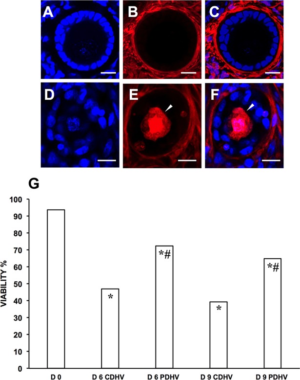 Fig 7