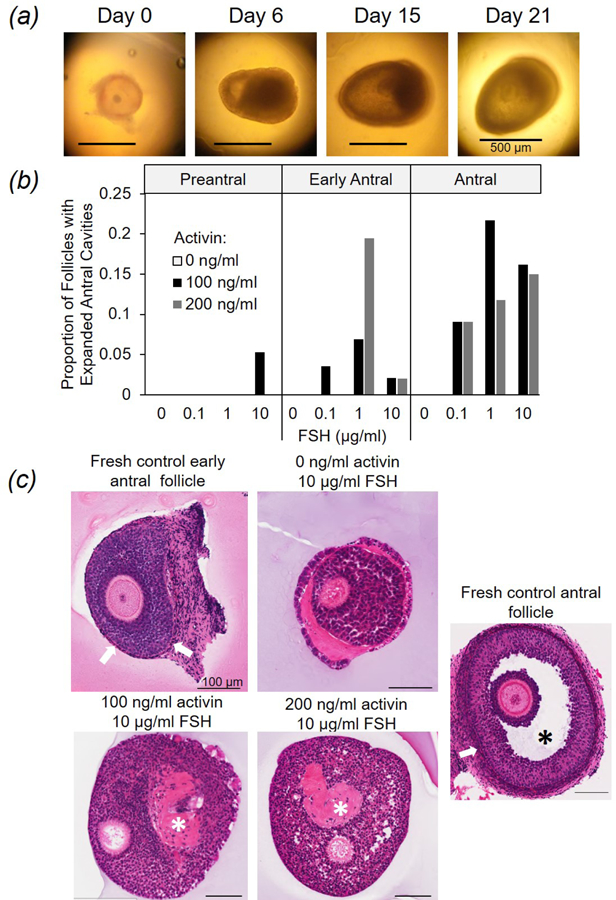 Figure 3: