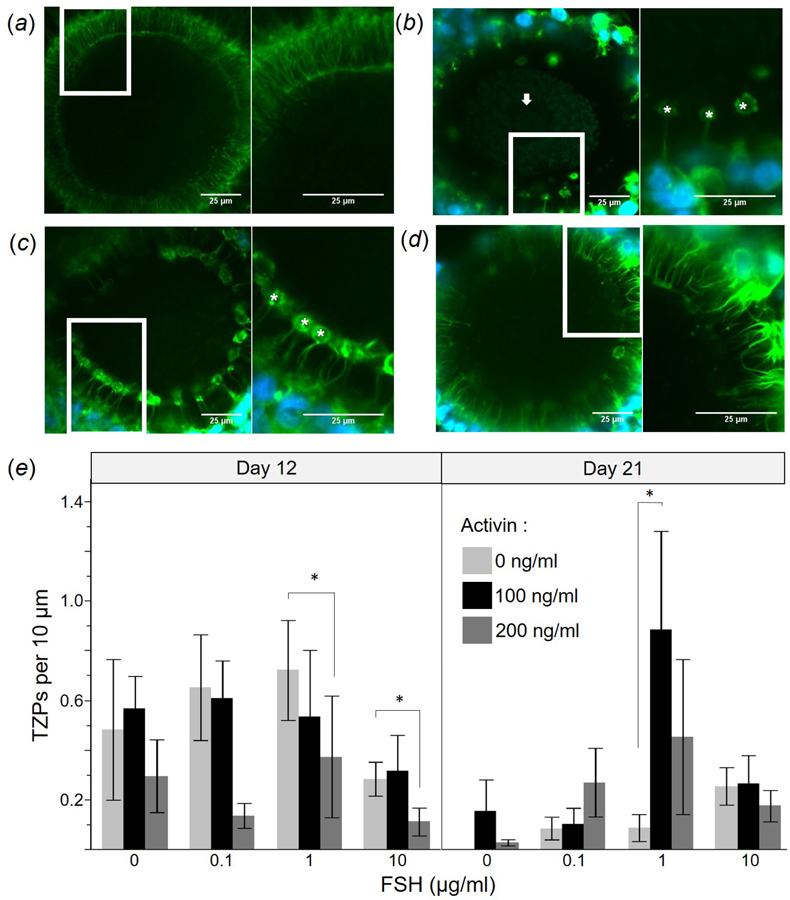 Figure 4: