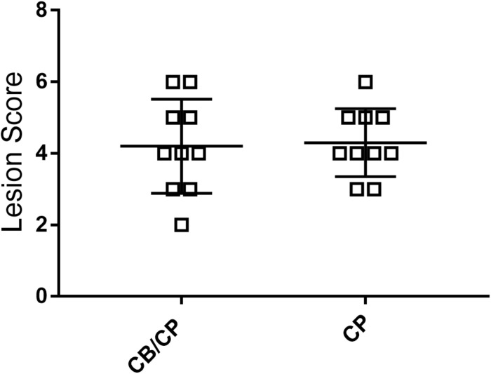 FIGURE 3