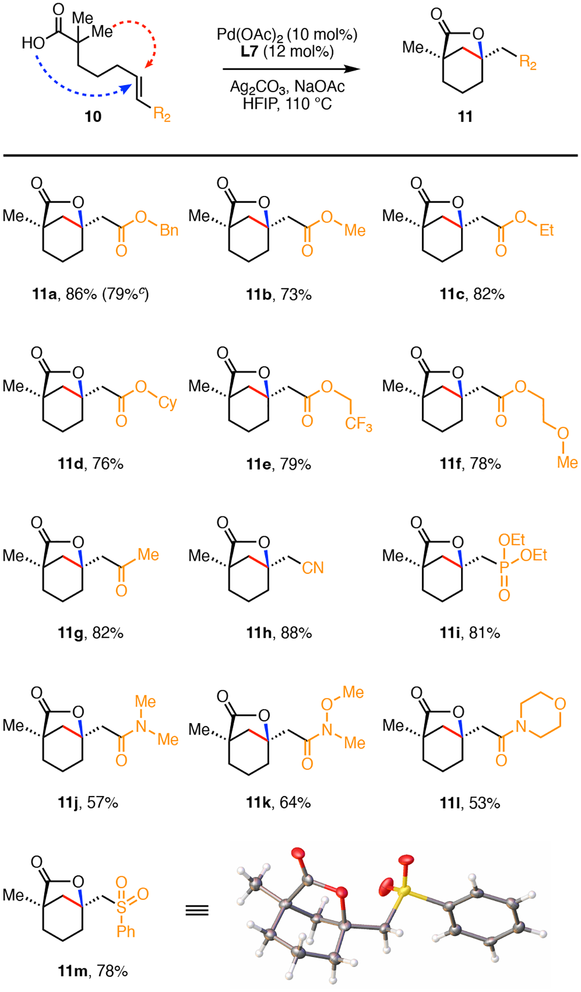 Scheme 2.