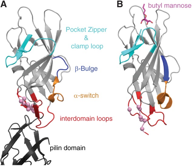 FIGURE 1.