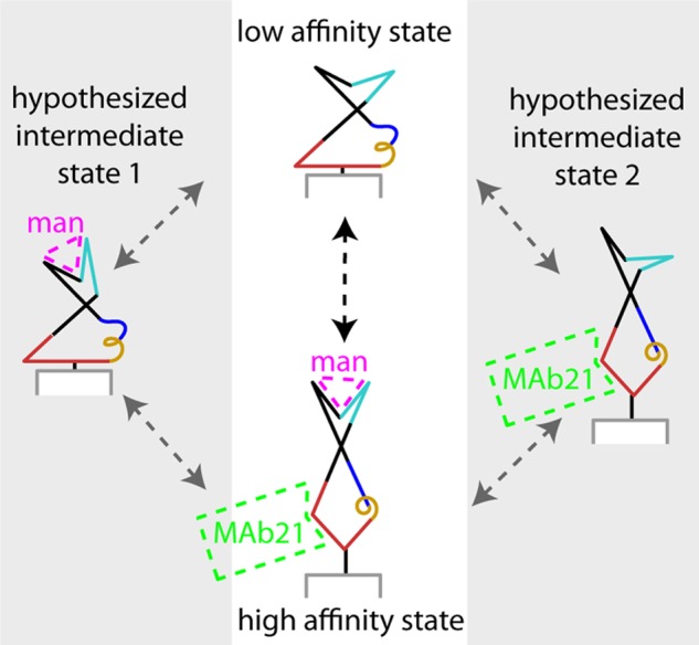 FIGURE 7.