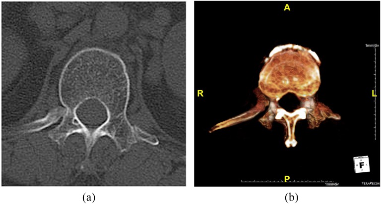 Figure 4.