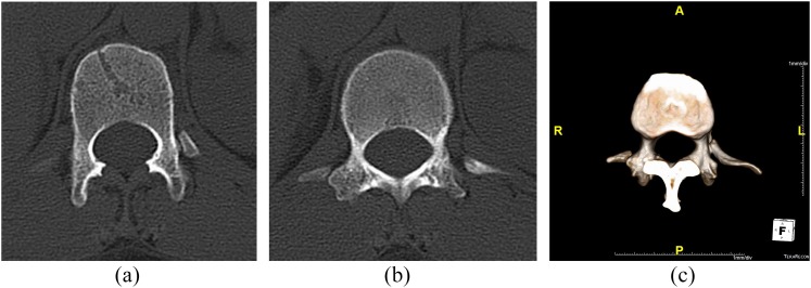 Figure 5.