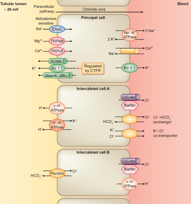 FIGURE 3