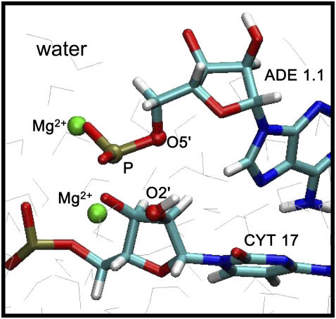 FIGURE 2