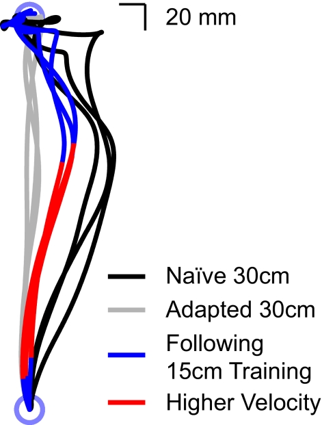 Fig. 3.