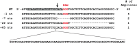 Figure 1—figure supplement 1.