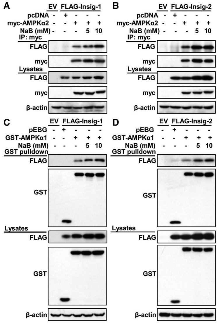 Figure 5