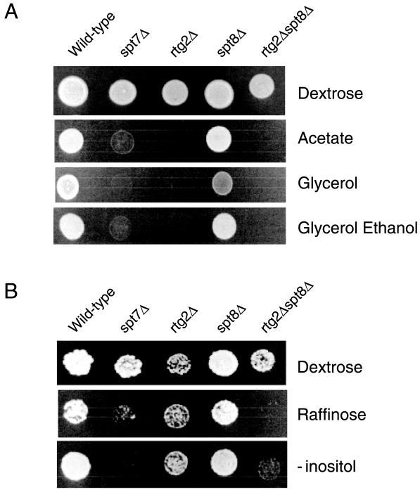 FIG. 6.