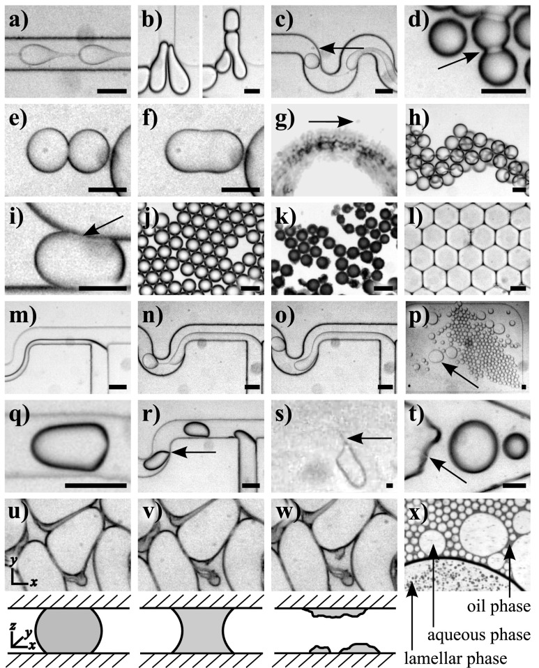 FIG. 5.