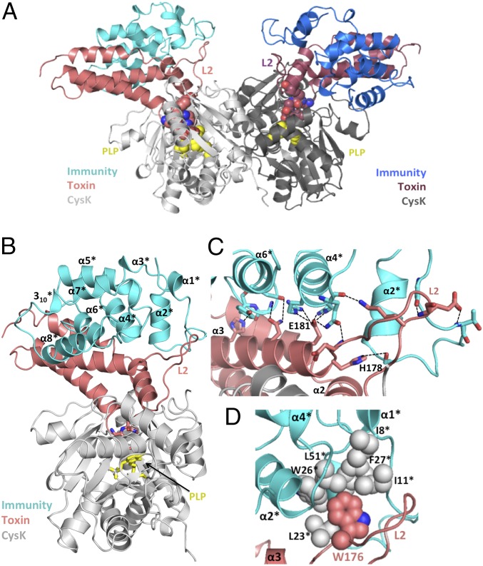 Fig. 3.