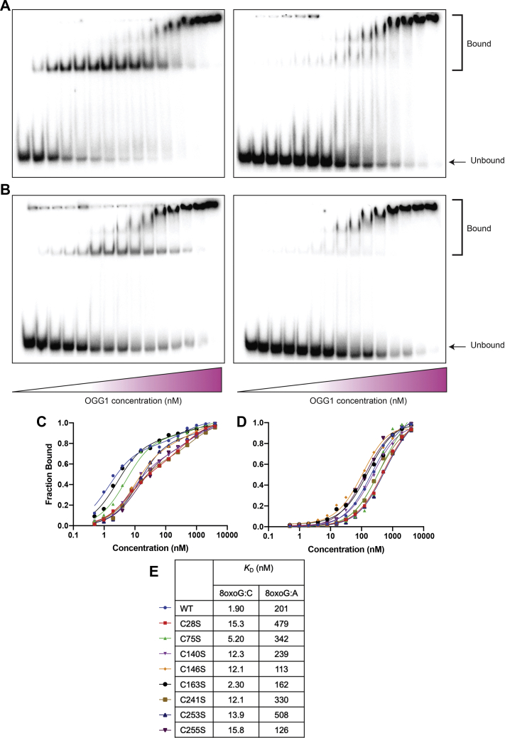 Figure 3