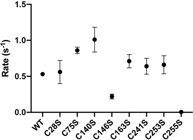 Figure 4