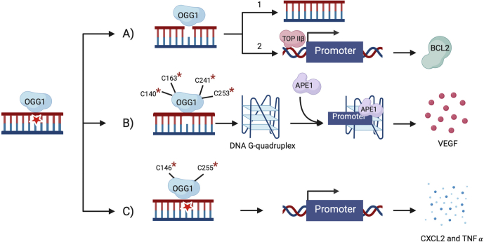 Figure 7