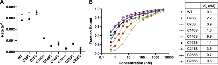 Figure 5