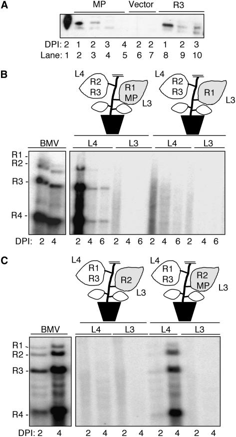 Figure 5.