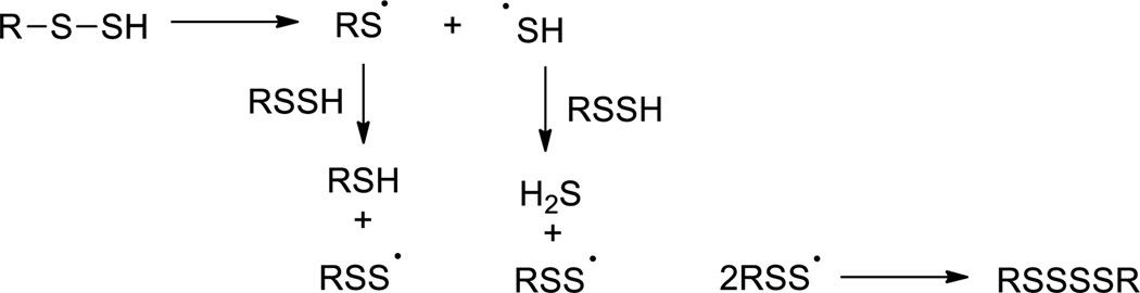 Scheme 5