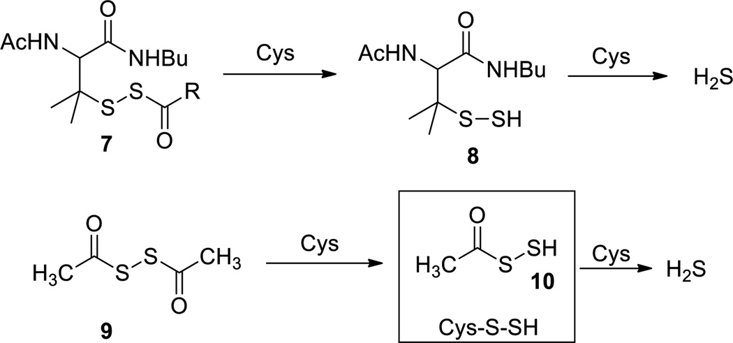 Scheme 4