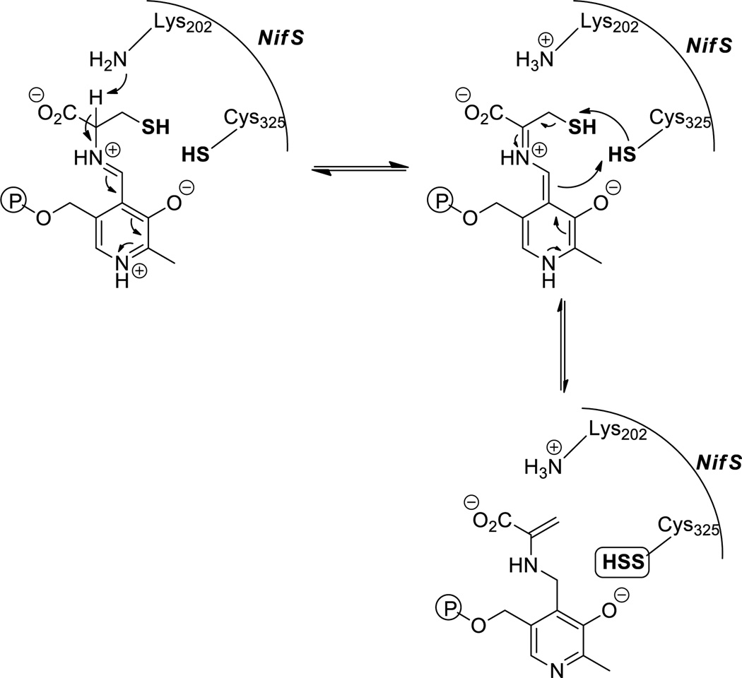 Scheme 12