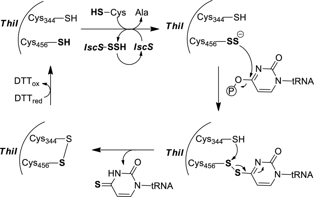 Scheme 13